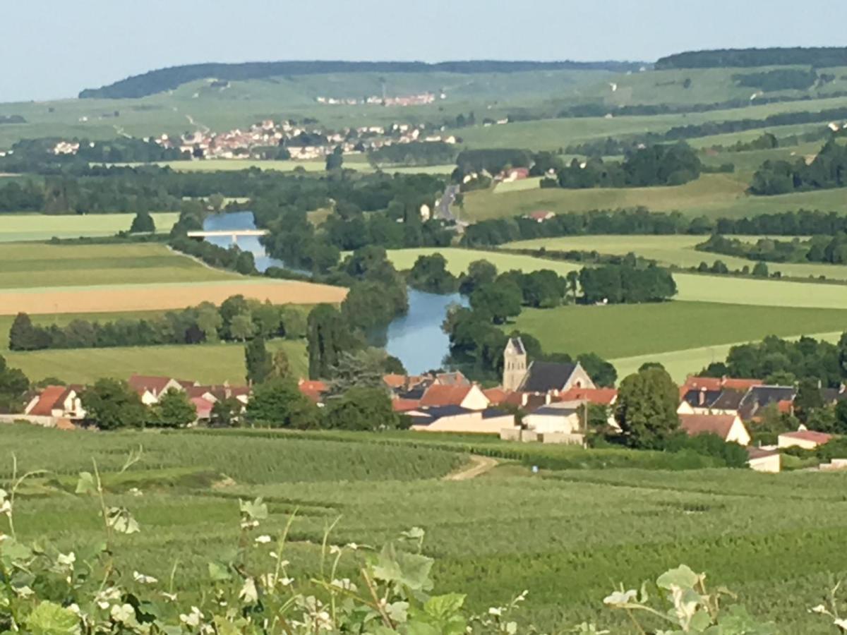 Villa L'Insouciance En Champagne Vincelles  外观 照片
